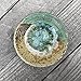 Algopix Similar Product 19 - Geode Ring Dish in Green and Copper
