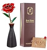 Algopix Similar Product 19 - TECHSHARE 24K Gold Rose Red Real Rose