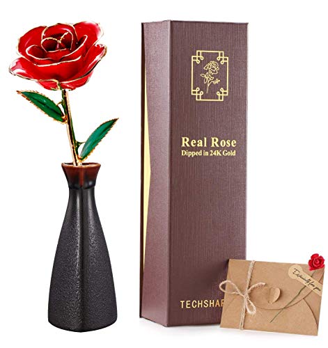Algopix Similar Product 7 - TECHSHARE 24K Gold Rose Red Real Rose