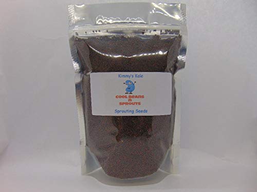 Algopix Similar Product 16 - Kimmys Kale Seeds for Sprouting