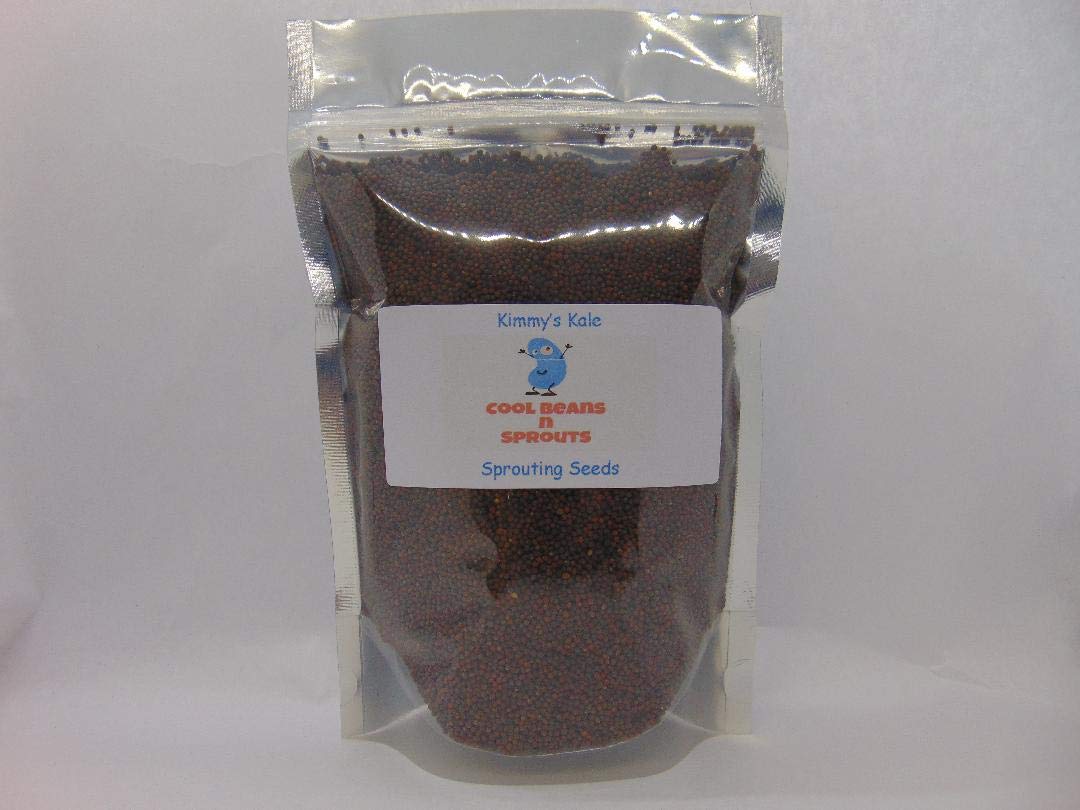 Algopix Similar Product 10 - Kimmys Kale Seeds for Sprouting