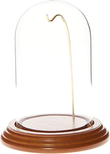 Algopix Similar Product 9 - Plymor 3 x 5 WatchOrnament Glass
