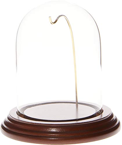 Algopix Similar Product 7 - Plymor 3 x 4 WatchOrnament Small