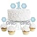 Algopix Similar Product 6 - Big Dot of Happiness Onederland 