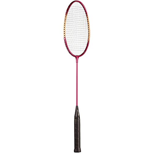 Algopix Similar Product 8 - Champion Sports Aluminum Badminton