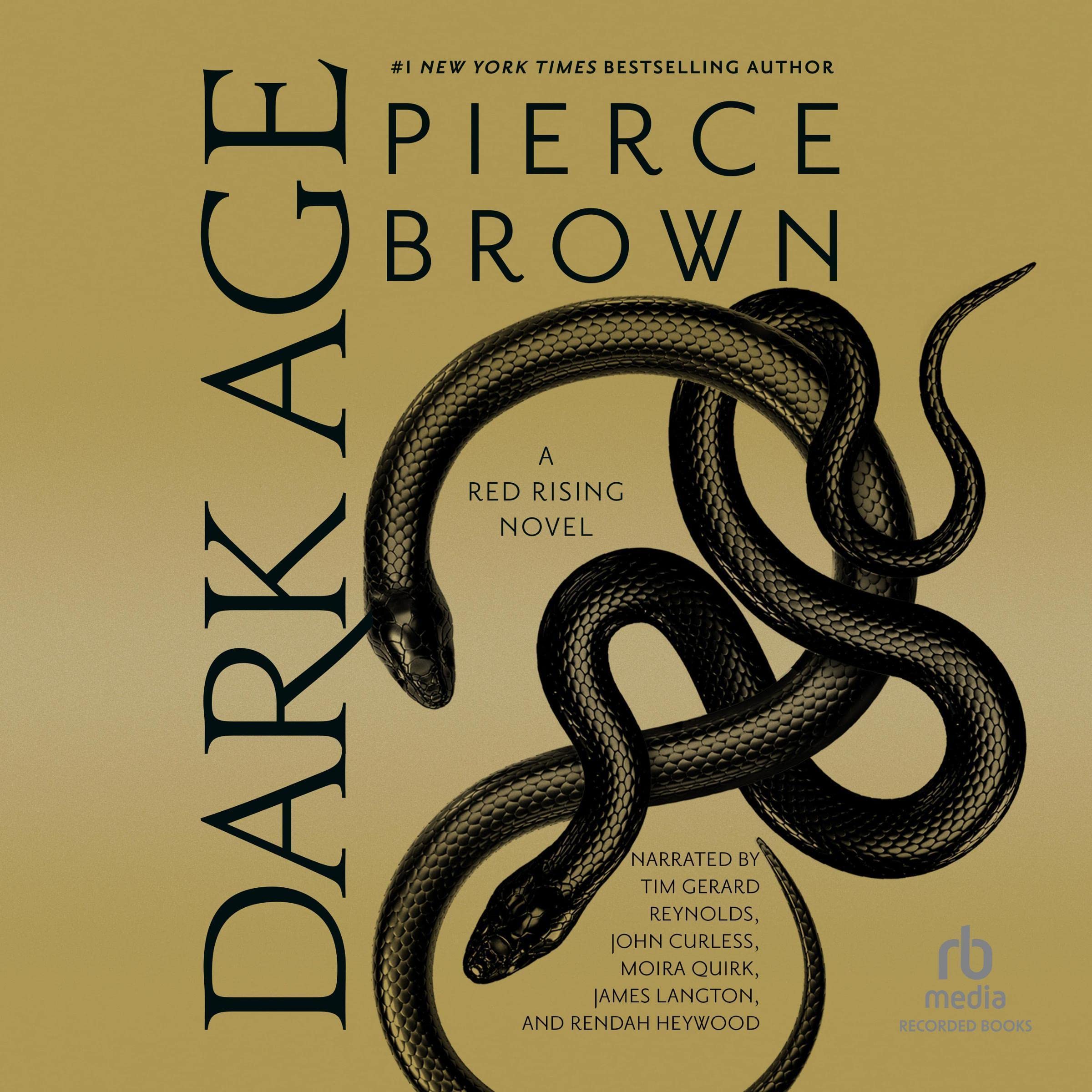 Algopix Similar Product 16 - Dark Age