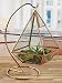 Algopix Similar Product 14 - Circleware Terraria Glass Frame