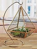 Algopix Similar Product 19 - Circleware Terraria Glass Frame