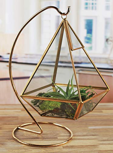 Algopix Similar Product 2 - Circleware Terraria Glass Frame