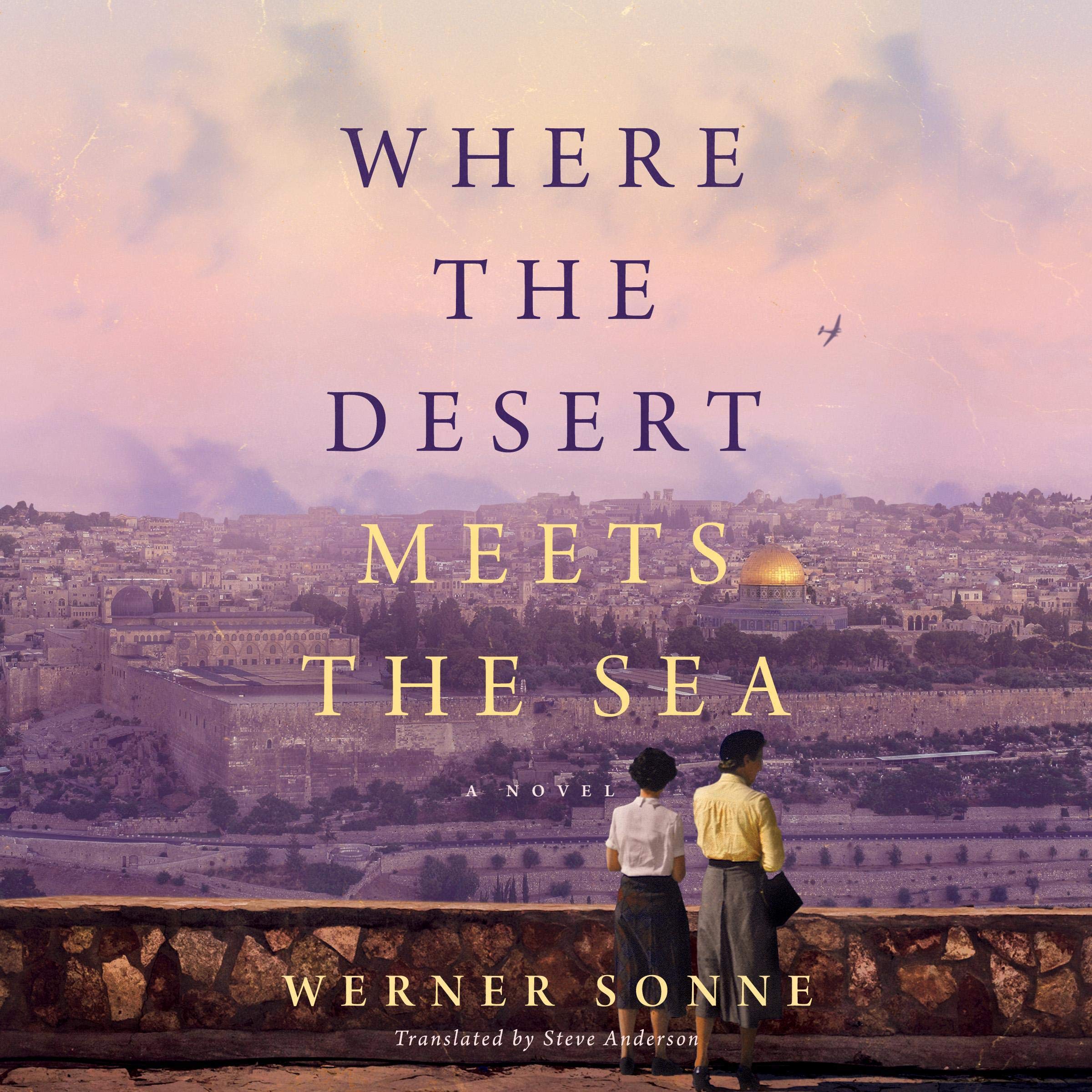 Algopix Similar Product 12 - Where the Desert Meets the Sea: A Novel