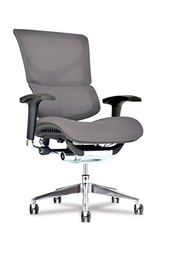 Algopix Similar Product 2 - Healthy Back X Chair Office Desk Chair