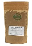Algopix Similar Product 16 - Ladys Mantle Herb  Alchemilla