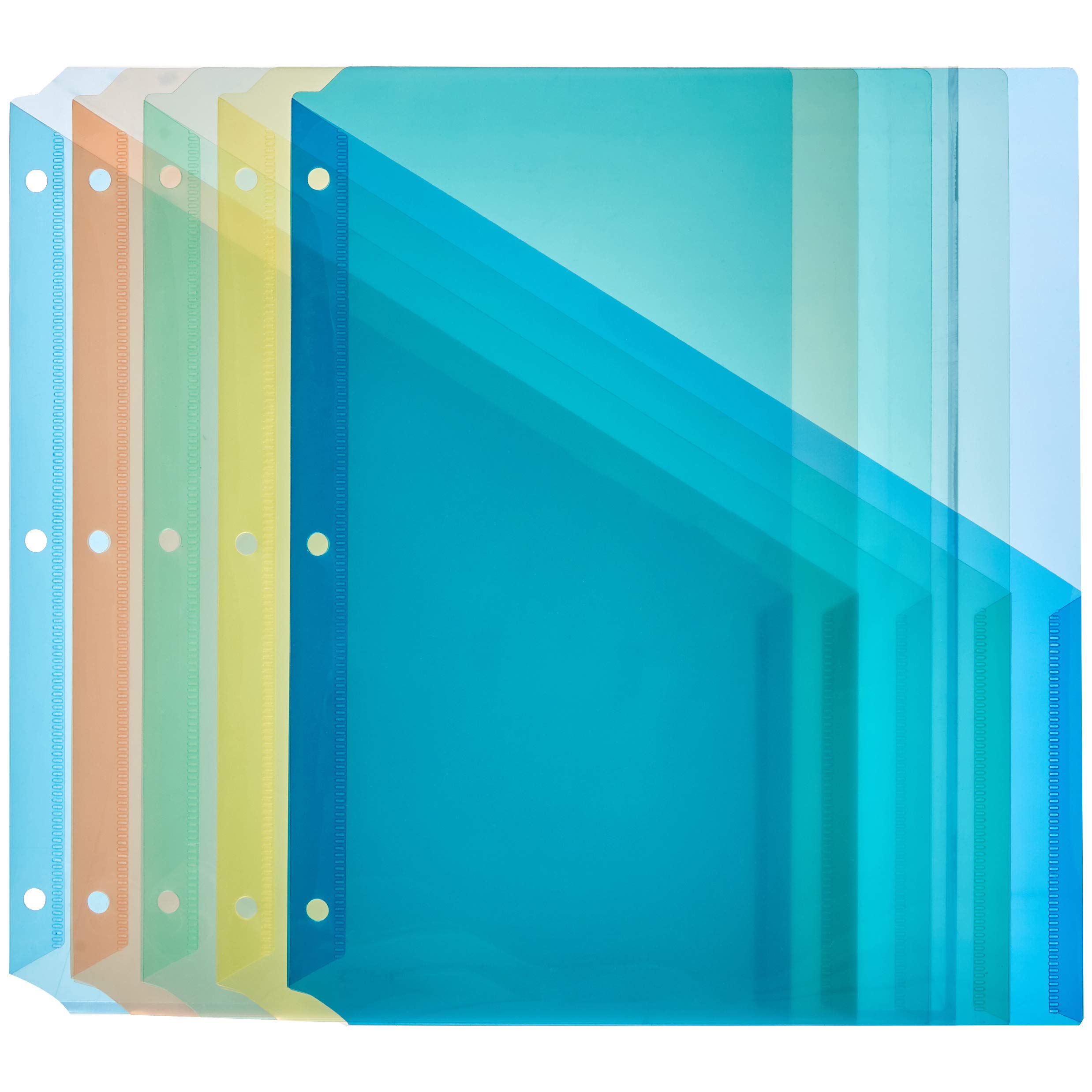 Algopix Similar Product 8 - Amazon Basics Binder Organizer Poly