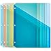 Algopix Similar Product 1 - Amazon Basics Binder Organizer Poly