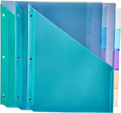 Algopix Similar Product 14 - Amazon Basics Two Pocket Plastic