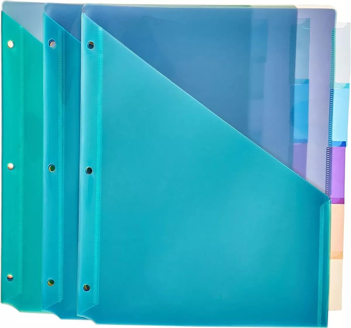 Algopix Similar Product 1 - Amazon Basics Two Pocket Plastic