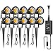 Algopix Similar Product 1 - ZUCKEO Low Voltage Landscape Lights LED