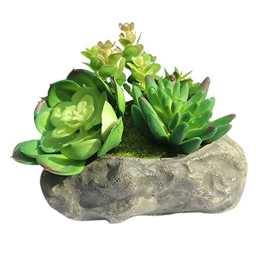 Algopix Similar Product 18 - 