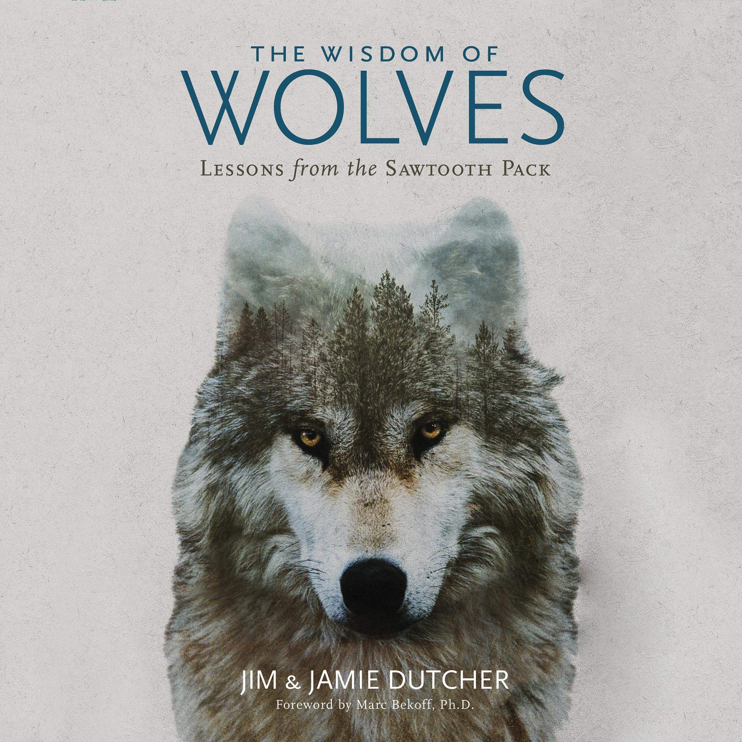Algopix Similar Product 7 - The Wisdom of Wolves Lessons from the