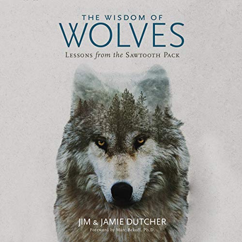 Algopix Similar Product 7 - The Wisdom of Wolves Lessons from the