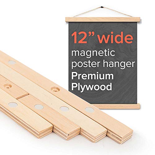 Algopix Similar Product 11 - Stiicks 12 Wide Magnetic Poster Frame