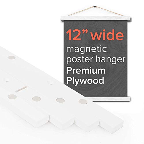 Algopix Similar Product 19 - Stiicks 12 Wide Magnetic Poster Frame