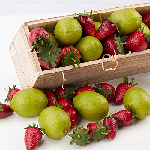 Algopix Similar Product 4 - Factory Direct Craft Artificial Limes