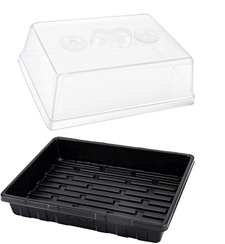 Algopix Similar Product 7 - Thick Plastic 3Set Strong Seed