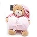 Algopix Similar Product 18 - Stuffed Animal and Fleece Throw Blanket