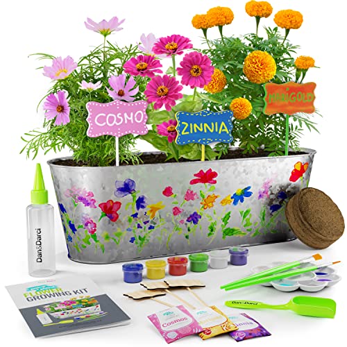 Algopix Similar Product 8 - Paint Plant Flower Growing Kit for
