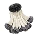 Algopix Similar Product 1 - Gorgeous CoatKIKOY Womens Long Section