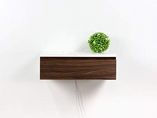 Algopix Similar Product 18 - Blanca Walnut Front Floating Nightstand