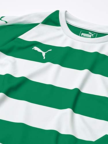 Algopix Similar Product 19 - PUMA Unisex Liga Stripe Jersey Youth