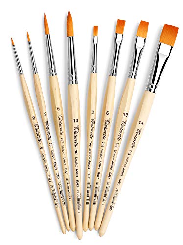 Algopix Similar Product 18 - Tintoretto AMZ11 Hobby  School Kit