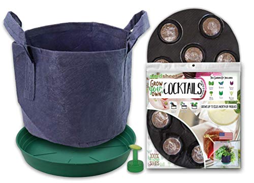 Algopix Similar Product 3 - Seedsheet Grow Your Own Cocktails