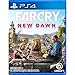 Algopix Similar Product 8 - Far Cry New Dawn  PlayStation 4
