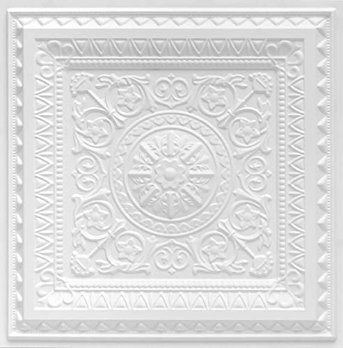 Algopix Similar Product 12 - From Plain To Beautiful In Hours 223 La