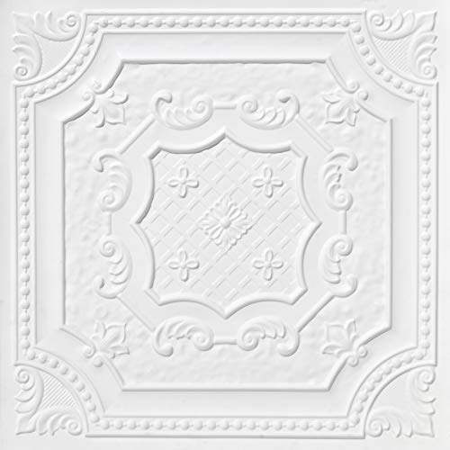 Algopix Similar Product 8 - From Plain To Beautiful In Hours