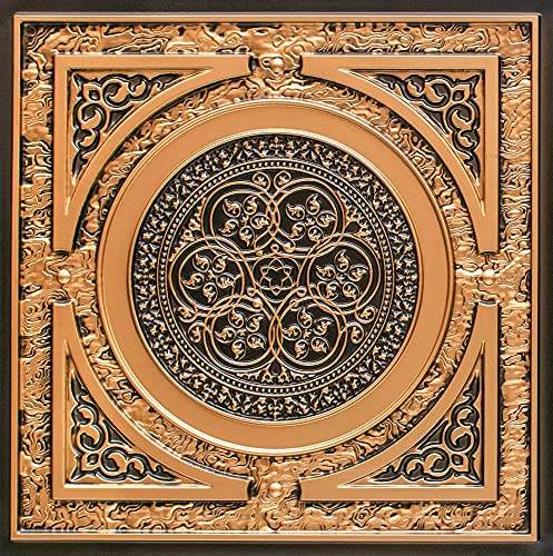 Algopix Similar Product 8 - From Plain To Beautiful In Hours 225