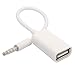 Algopix Similar Product 10 - 35mm Male AUX Audio to USB 20 Female