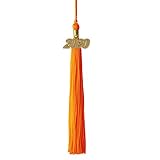 Algopix Similar Product 5 - Class Act Graduation Graduation Tassel