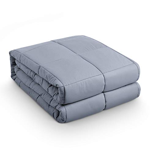Algopix Similar Product 12 - BEASEN Weighted Blanket 15 lbs