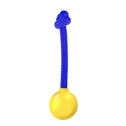 Algopix Similar Product 19 - Our Pets Grrrassic Durable Toss Toy