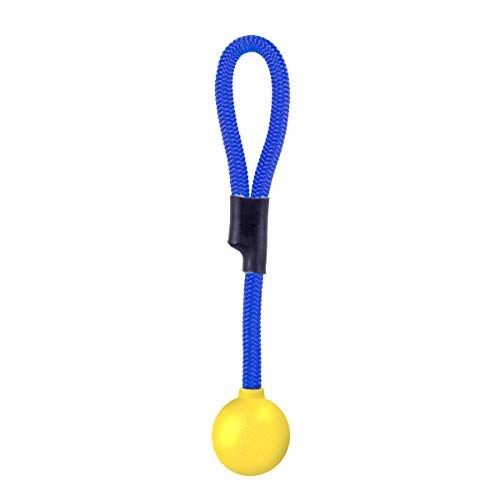 Algopix Similar Product 11 - Our Pets Grrrassic Durable Retrieval