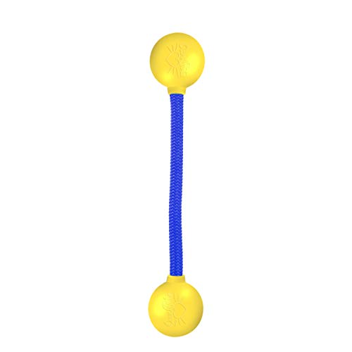 Algopix Similar Product 7 - Our Pets Grrrassic Durable Tug Toy