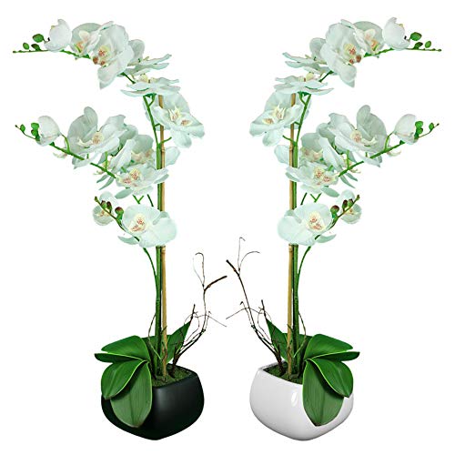 Algopix Similar Product 4 - Benzara Square Ceramic Pot with