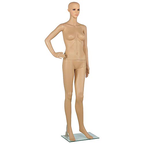 Algopix Similar Product 19 - Yaheetech Plastic Female Mannequin
