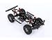 Algopix Similar Product 3 - Rock Lizard Designs Gecko X10 110
