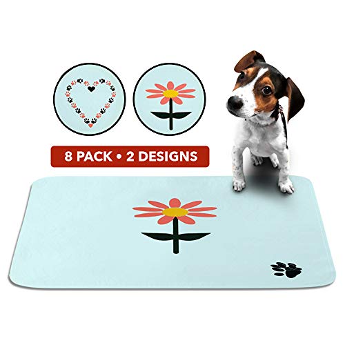 Algopix Similar Product 7 - Cute Washable Dog Training Puppy Pee