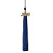 Algopix Similar Product 18 - Class Act Graduation Graduation Tassel
